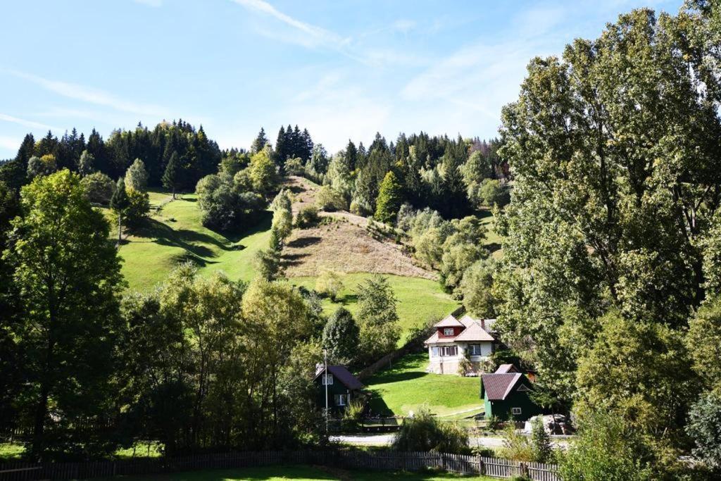 Casa Stefanut Hotel Moeciu De Sus Bagian luar foto